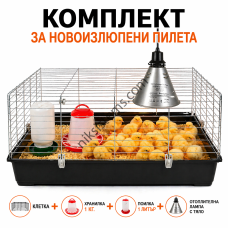 Клетка за Отглеждане на Новоизлюпени Пилета - 58 х 38 х 33 см.